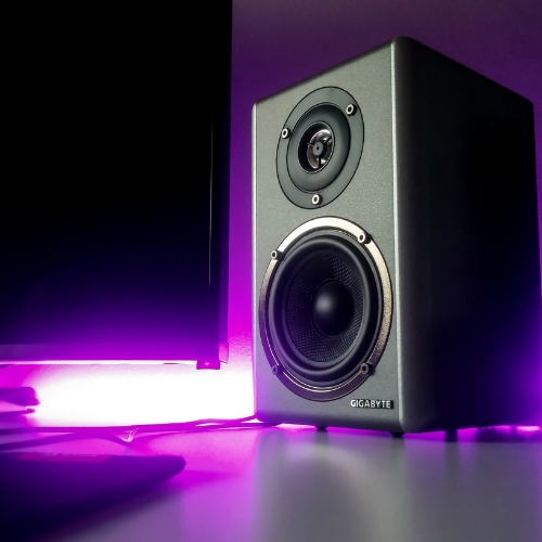 Speakers and Audio Systems